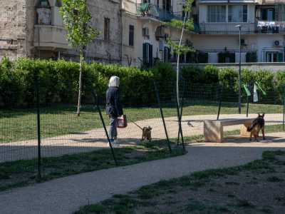 Qui le reti di recinzione sono bucate in pi� parti e si sono sfilate dal terreno dove erano state ancorate, con il rischio che i pelosi possano uscire in un momento di distrazione